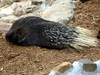 DSCN5817.jpg