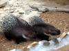 DSCN5818.jpg