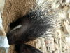 DSCN5819.jpg