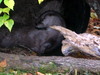 DSCN5820.jpg