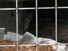 DSCN5821.jpg
