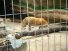 DSCN5822.jpg