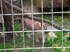 DSCN5823.jpg