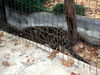 DSCN5824.jpg