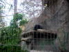 DSCN5825.jpg
