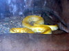 DSCN5826.jpg