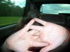 DSCN5874.jpg