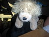 DSCN5884.jpg