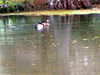 DSCN5891.jpg