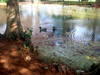 DSCN5893.jpg