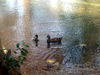 DSCN5894.jpg