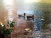 DSCN5895.jpg
