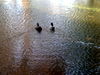 DSCN5896.jpg