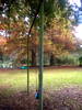 DSCN5898.jpg