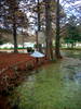 DSCN5899.jpg