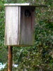 DSCN5902.jpg
