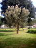 DSCN5906.jpg