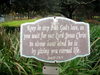 DSCN5908.jpg