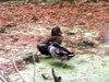 DSCN5909.jpg