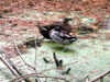 DSCN5910.jpg