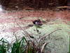 DSCN5911.jpg