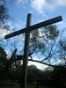 DSCN5915.jpg