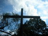 DSCN5916.jpg