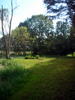 DSCN5920.jpg