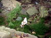 DSCN3085.JPG