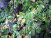 DSCN3088.JPG