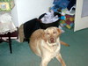 DSCN1822.JPG
