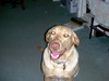 DSCN1823.JPG