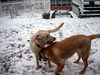 DSCN1871.JPG