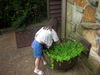 DSCN1963.jpg