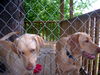 DSCN2092.JPG