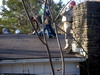 DSCN3645.JPG