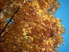 DSCN3466.JPG