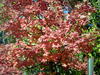 DSCN3467.JPG