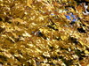 DSCN3468.JPG