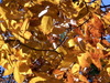 DSCN3469.JPG