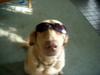 DSCN3472.JPG