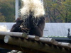 DSCN3515.JPG