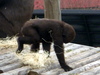 DSCN3516.JPG