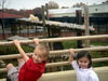 DSCN3517.JPG