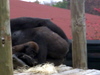 DSCN3518.JPG
