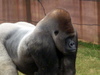 DSCN3519.JPG