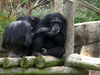 DSCN3523.JPG
