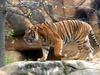 DSCN3526.JPG