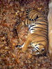 DSCN3527.JPG