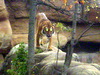 DSCN3528.JPG